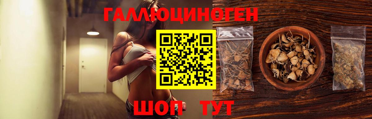 Галлюциногенные грибы мицелий  Вход с VPN  Ахтубинск 